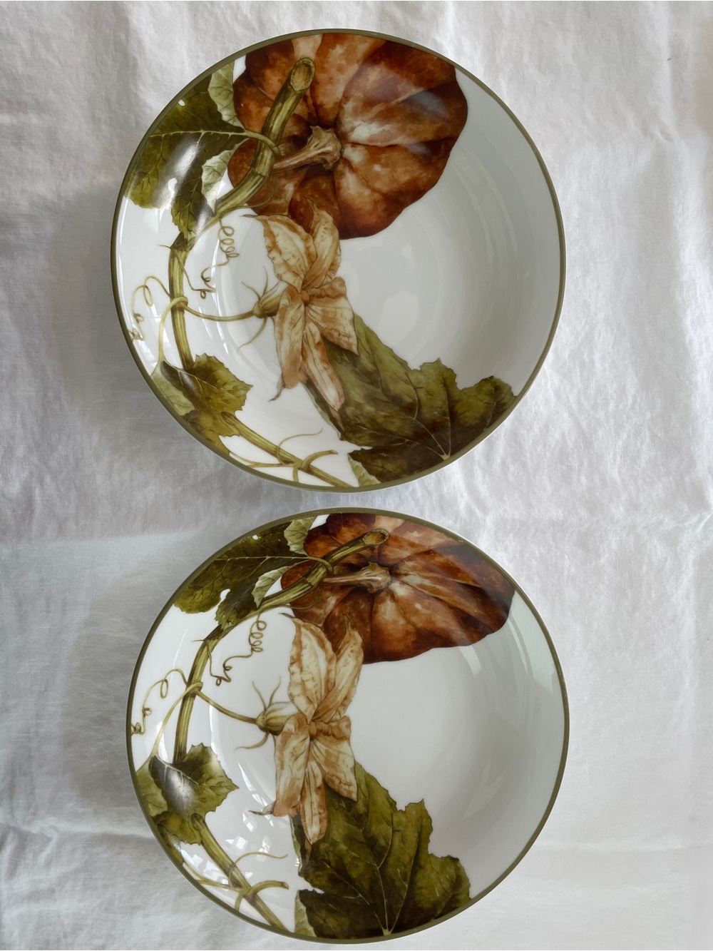 Williams Sonoma Botanical Pumpkin Coupe Soup Bowls 8.75” (Set of 2)